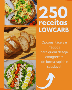 250 RECEITAS LOW CARB