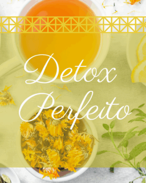 DETOX PERFEITO